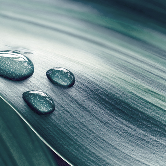 اكتشفي كل ما يمكن معرفته عن الترطيب